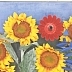 “Poppies and sunflowers“ standard photo