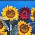 “Poppies and sunflowers“ 3D photo